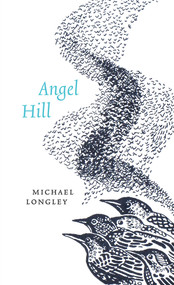 Angel Hill by Michael Longley, 9781930630819