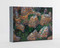 Art Wolfe: Extraordinary Earth Blank Boxed Notecards by Art Wolfe, 9781608879564