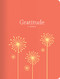Gratitude (A Journal) by Catherine Price, 9780811867207
