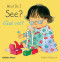 What Do I See? / ¿Qué veo? (Bilingual Edition) by Annie Kubler, Teresa Mlawer, 9781846437250