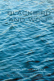 Blackbird and Wolf (Poems) by Henri Cole, 9780374531126