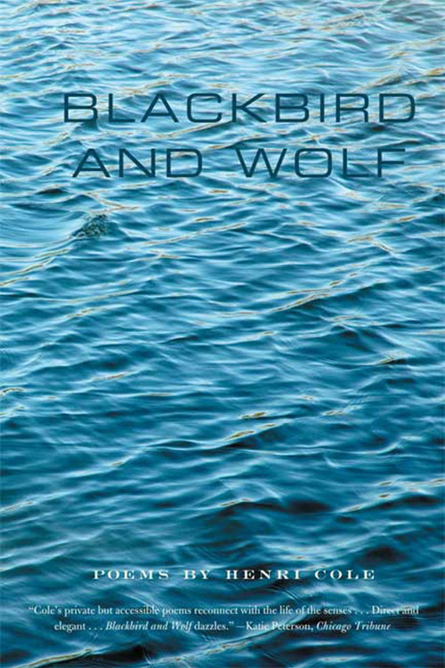 Blackbird and Wolf (Poems) by Henri Cole, 9780374531126