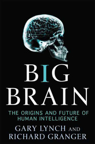 Big Brain (The Origins and Future of Human Intelligence) by Gary Lynch, Richard Granger, 9781403979797