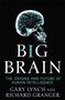 Big Brain (The Origins and Future of Human Intelligence) by Gary Lynch, Richard Granger, 9781403979797