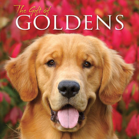 The Gift Of Goldens by Willow Creek Press, 9781607554868