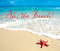 Ah, The Beach! by Willow Creek Press, 9781607557715