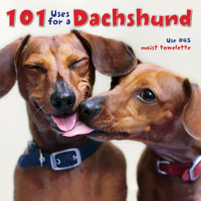101 Uses For A Dachshund by Willow Creek Press, 9781623430313