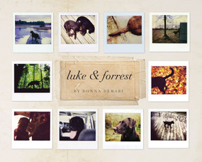 Luke & Forrest by Donna DeMari, 9781607557739