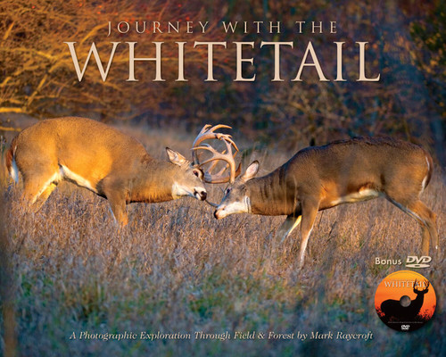 Journey With the Whitetail (w/DVD) by Mark Raycroft, 9781623431402