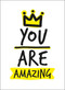 You Are Amazing (Miniature Edition) by Andrews McMeel Publishing, 9781449487119