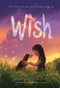 Wish by Barbara O'Connor, 9781250144058