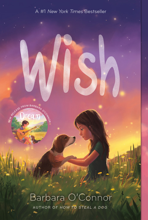 Wish by Barbara O'Connor, 9781250144058
