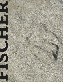 Daniel Fischer by Daniel Fischer, 9788081890024