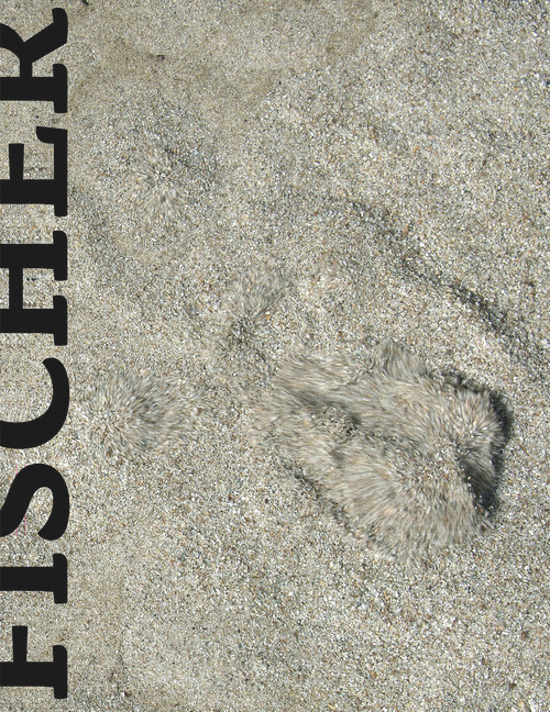 Daniel Fischer by Daniel Fischer, 9788081890024