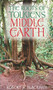 The Roots of Tolkien's Middle Earth by Robert S. Blackham, 9780752438566