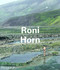 Roni Horn - 9780714838656 by Lynne Cooke, Louise Neri, Thierry Duve, 9780714838656