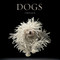 Dogs - 9780810996533 by Tim Flach, 9780810996533