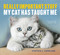 Really Important Stuff My Cat Has Taught Me by Cynthia L. Copeland, 9781523501489