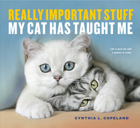 Really Important Stuff My Cat Has Taught Me by Cynthia L. Copeland, 9781523501489