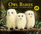 Owl Babies - 9780763695194 by Martin Waddell, Patrick Benson, 9780763695194