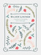 Silver Linings (A Journal for Navigating Life's Challenges) by Blue Streak, 9781681882314