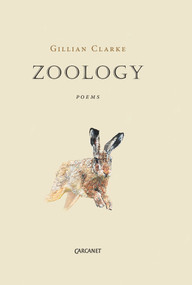 Zoology by Gillian Clarke, 9781784102166
