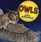 Owls by Gail Gibbons, 9780823420148