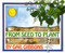 From Seed to Plant - 9780823408726 by Gail Gibbons, 9780823408726