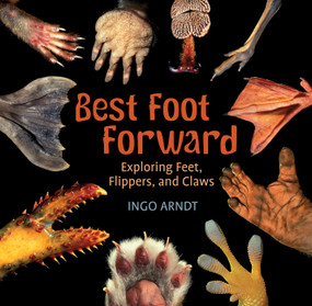 Best Foot Forward (Exploring Feet, Flippers, and Claws) by Ingo Arndt, 9780823431854