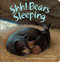 Shh! Bears Sleeping - 9780425291795 by David Martin, Steve Johnson, Lou Fancher, 9780425291795