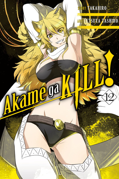 Akame ga KILL!, Vol. 12 by Takahiro, Tetsuya Tashiro, Christine Dashiell, 9780316473323