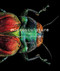 Microsculpture (Portraits of Insects) by Levon Biss, 9781419726958