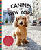 Canines of New York by Heather Weston, 9781681883052