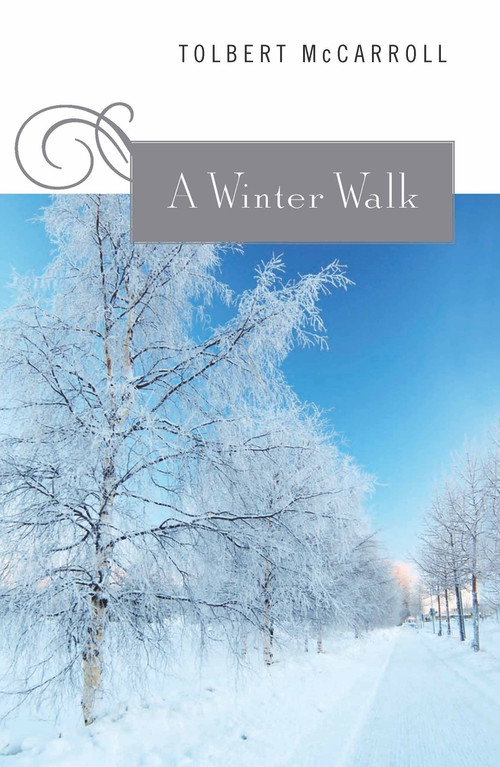 A Winter Walk - 9780824599270 by Tolbert McCarroll, 9780824599270