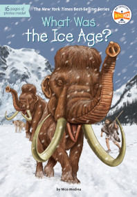 What Was the Ice Age? by Nico Medina, Who HQ, David Groff, 9780399543890