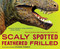 Scaly Spotted Feathered Frilled (How Do We Know What Dinosaurs Really Looked Like?) - 9781328740885 by Catherine Thimmesh, 9781328740885