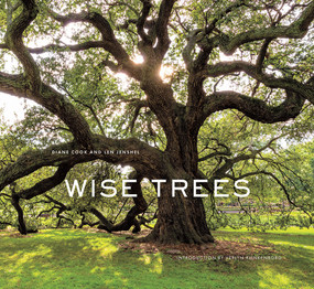Wise Trees by Diane Cook, Len Jenshel, Verlyn Klinkenborg, 9781419727009