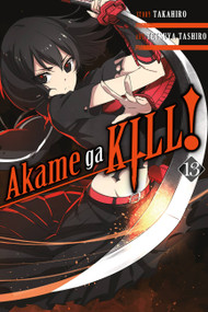 Akame ga KILL!, Vol. 13 by Takahiro, Tetsuya Tashiro, Christine Dashiell, 9780316473354