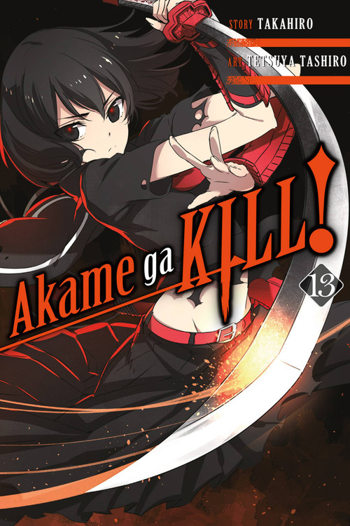 Akame ga KILL!, Vol. 13 by Takahiro, Tetsuya Tashiro, Christine Dashiell, 9780316473354