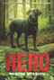 Hero: Rescue Mission by Jennifer Li Shotz, 9780062560452