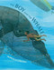 The Boy and the Whale by Mordicai Gerstein, Mordicai Gerstein, 9781626725058