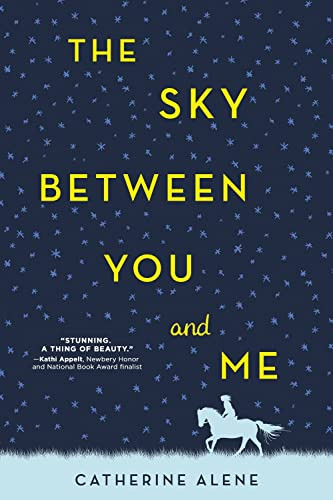 The Sky between You and Me - 9781492652762 by Catherine Alene, 9781492652762