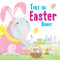 Tiny the Easter Bunny by Eric James, 9781492659020