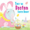 Tiny the Boston Easter Bunny by Eric James, 9781492659105