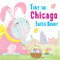 Tiny the Chicago Easter Bunny by Eric James, 9781492659150