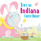 Tiny the Indiana Easter Bunny by Eric James, 9781492659266