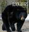 Black Bears - 9781628325614 by Melissa Gish, 9781628325614