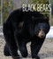 Black Bears - 9781628325614 by Melissa Gish, 9781628325614