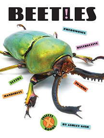 Beetles by Ashley Gish, 9781628326154