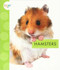 Hamsters - 9781681522890 by Mari Schuh, 9781681522890